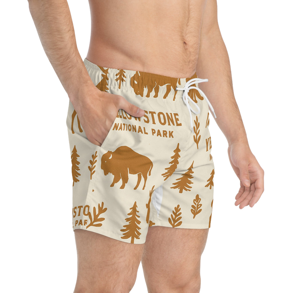 Swim Trunks (AOP)