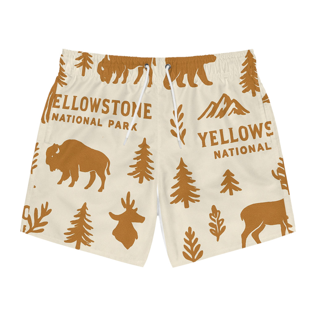 Swim Trunks (AOP)
