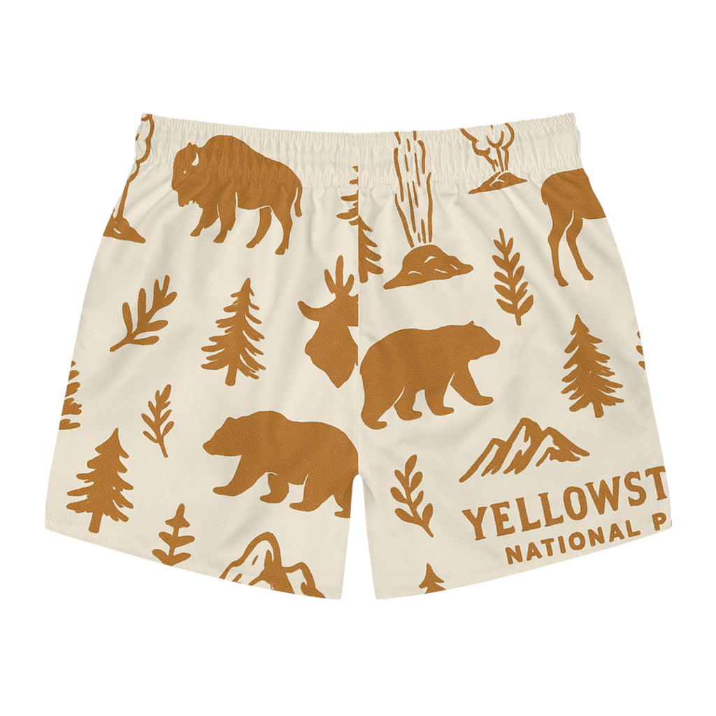 Swim Trunks (AOP)